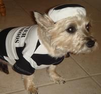 I'm Pepper and I know I would win but Dad won't let you vote for me because he owns the place!