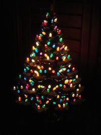 Submit your Best Holiday Photo today and start promoting your entry to friends and family.