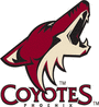 Phoenix Coyotes