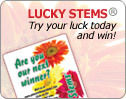 Click & Try Your Luck – Be Our Instant Winner of the Day!