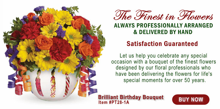 Brilliant Birthday - 