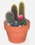 Cactus Gardens