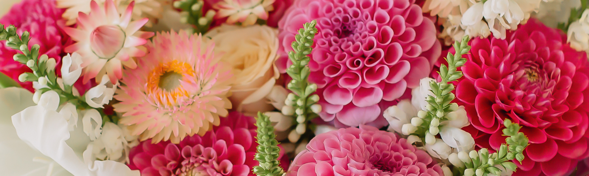 Phoenix Flower Delivery Same Day Flowers by Phoenix Flower Shops