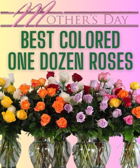One Dozen Colored Roses