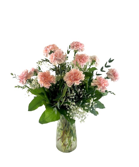 1 Dozen Pink Carnations Arranged