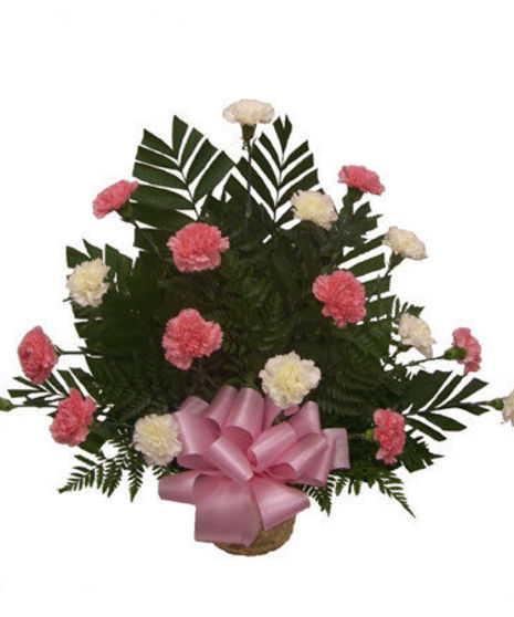 "Traditional Pink & White Tribute"