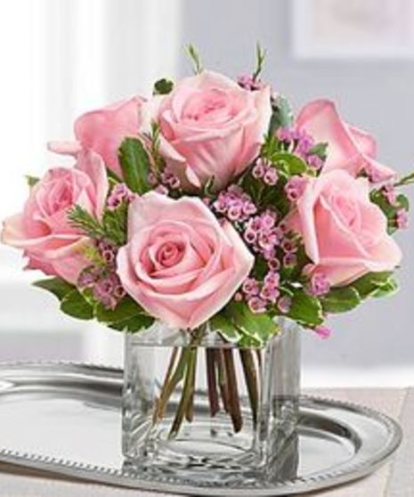 Lovely Pink Roses