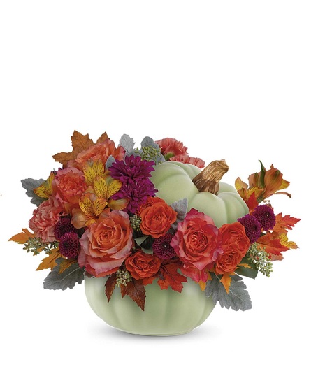 Sage Harvest Pumpkin