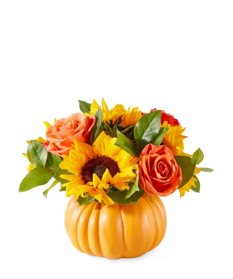 Pumpkin Dreams