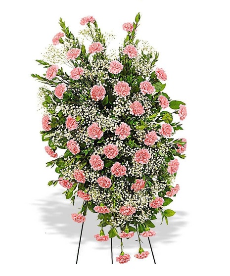 Traditional Carnation Easel Spray