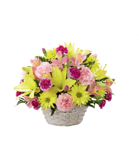 Basket of Cheer