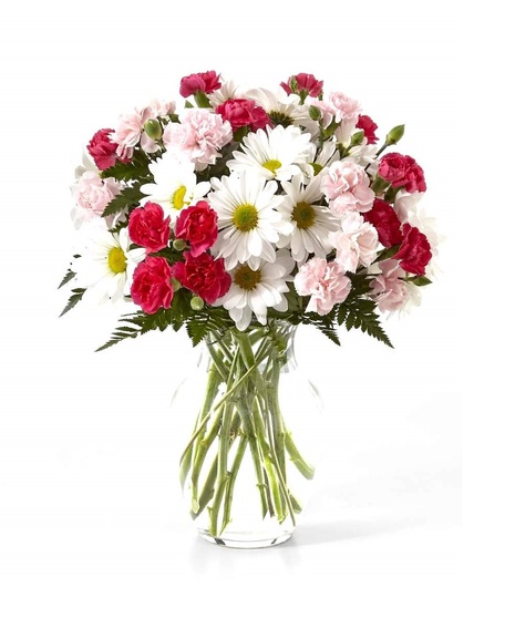 Pink mini carnations along with traditional white daisies and greenery are presented in a classic clear vase.