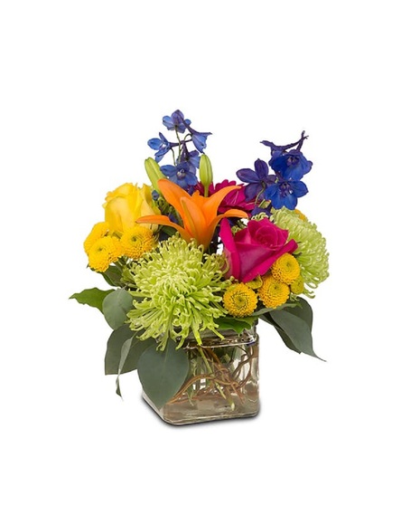 Vibrant roses, lilies, delphinium, mums and more in a glass cube vase