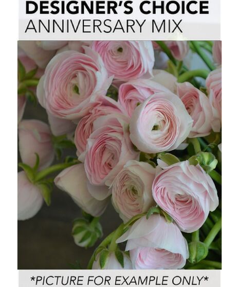 Designer's Choice - Anniversary Mix