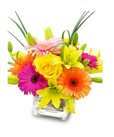 Bright and Stunning