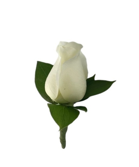 Rose Boutonniere