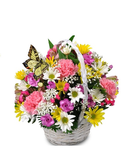 Butterfly Basket