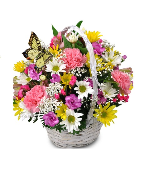 Blissful Butterfly Basket Arrangement in Fulshear, TX - Beezie's Flowers