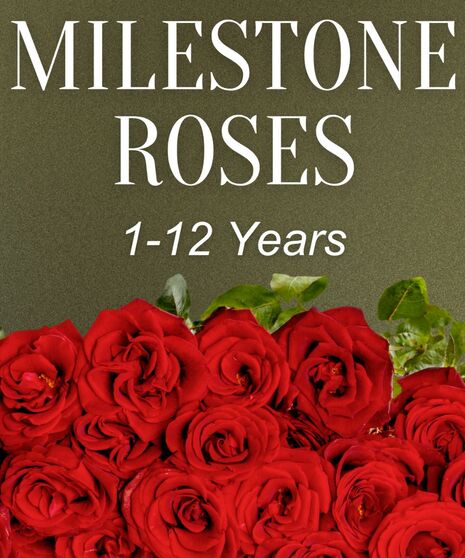 Milestone Roses 1-12 Years