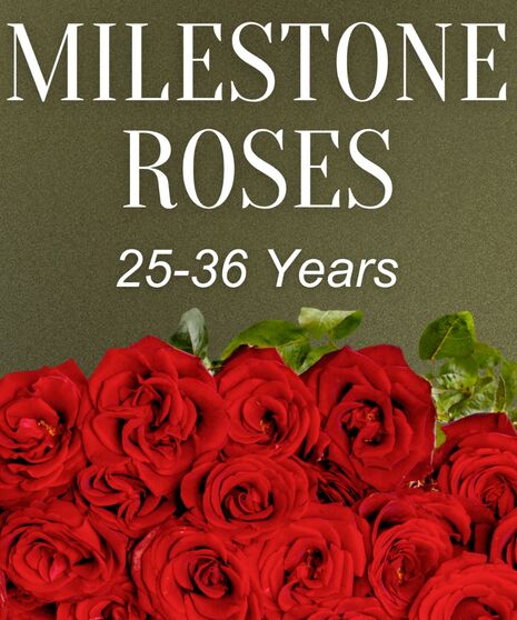 Milestone Roses 25-36 Years