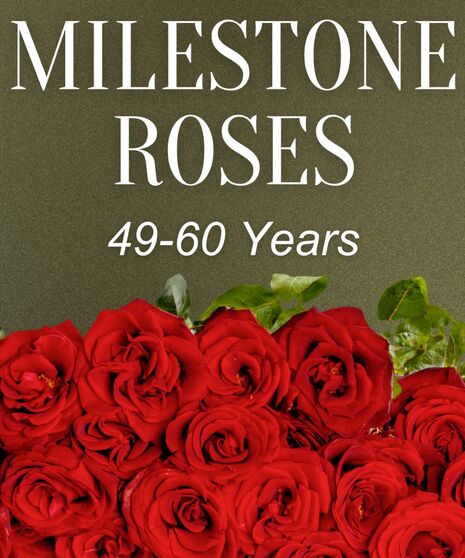 Milestone Roses 49-60 Years