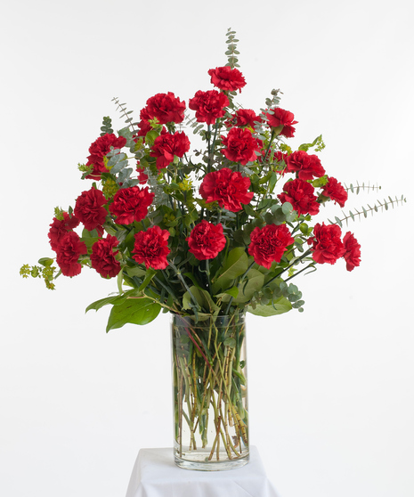 Red Carnation Vase