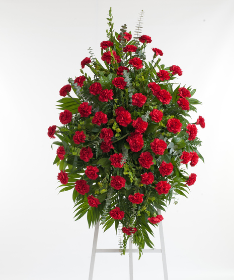 Red Carnation Easel Spray