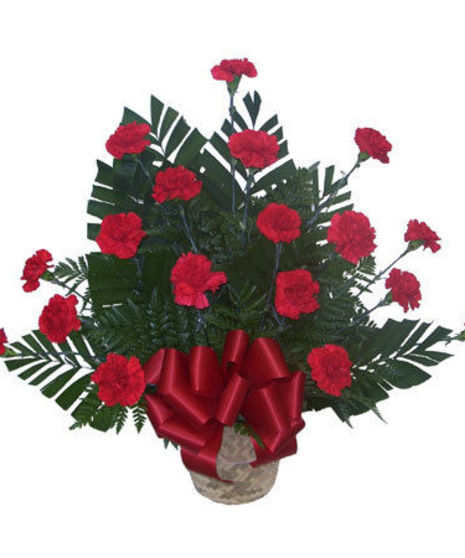 Red Carnation Tribute
