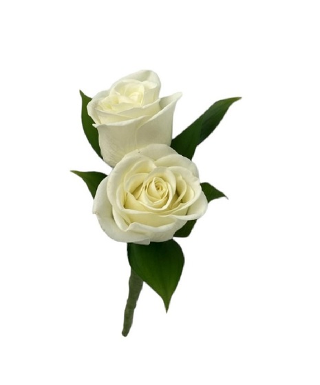 Spray Rose Boutonniere