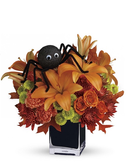 Spooky Spider