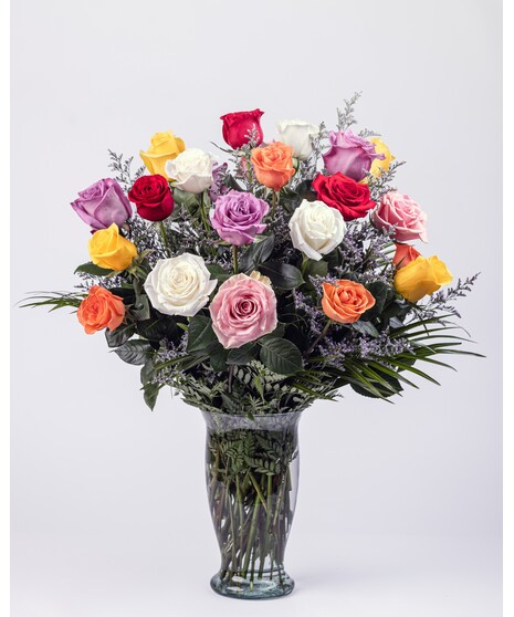 Two Dozen Premium Rainbow Roses