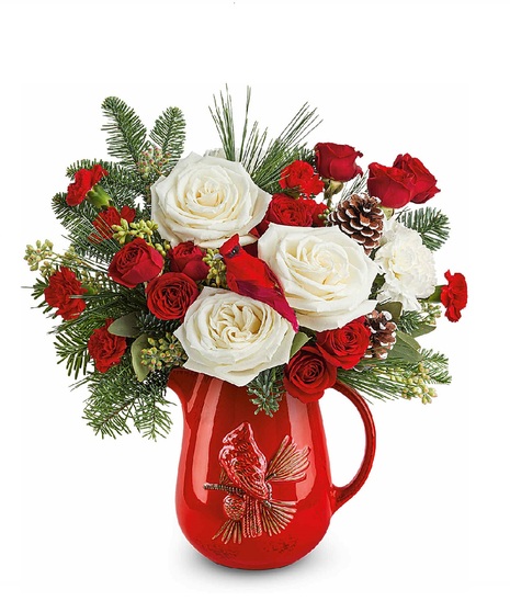 Scarlet Cardinal Pitcher