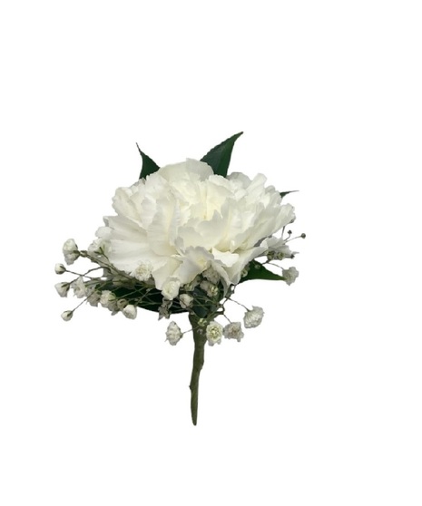 Carnation Boutonniere