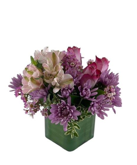 Lovely Lavenders