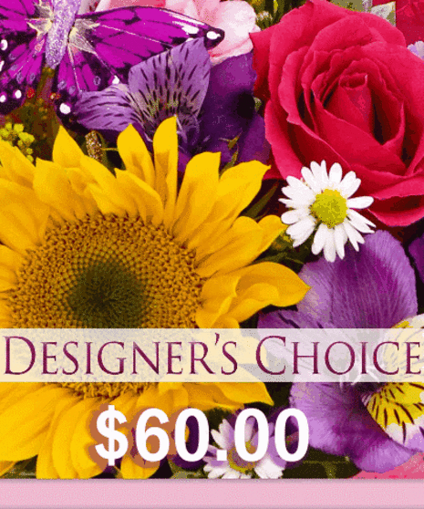 Designer's Choice