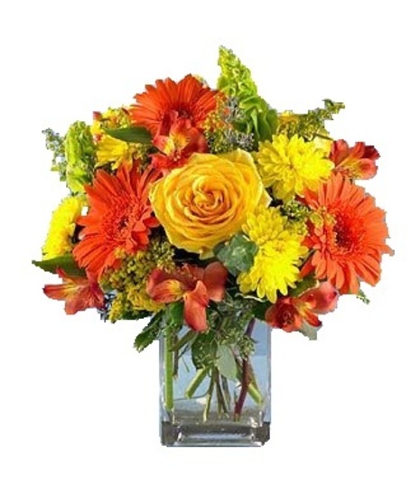 fall flowers in stunning tall vase