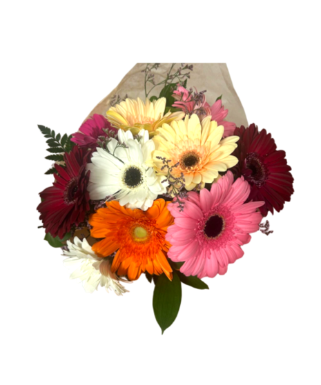 Assorted Gerbera Daisies Wrapped
